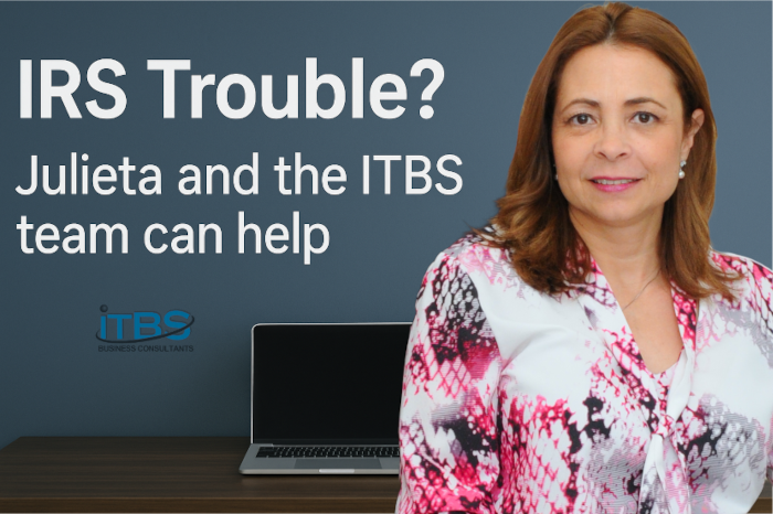 IRS Representation Service